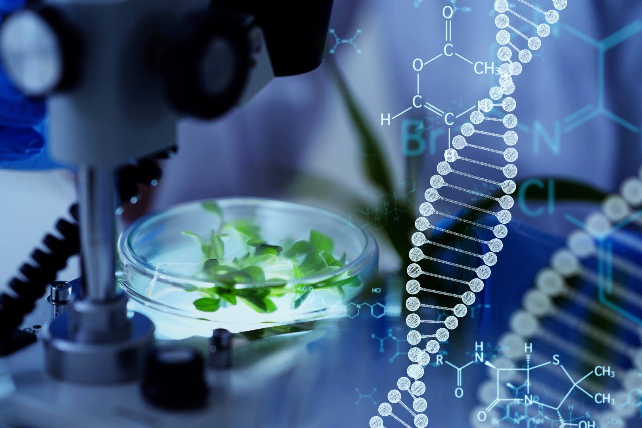 Foodtech shaping the future of product development