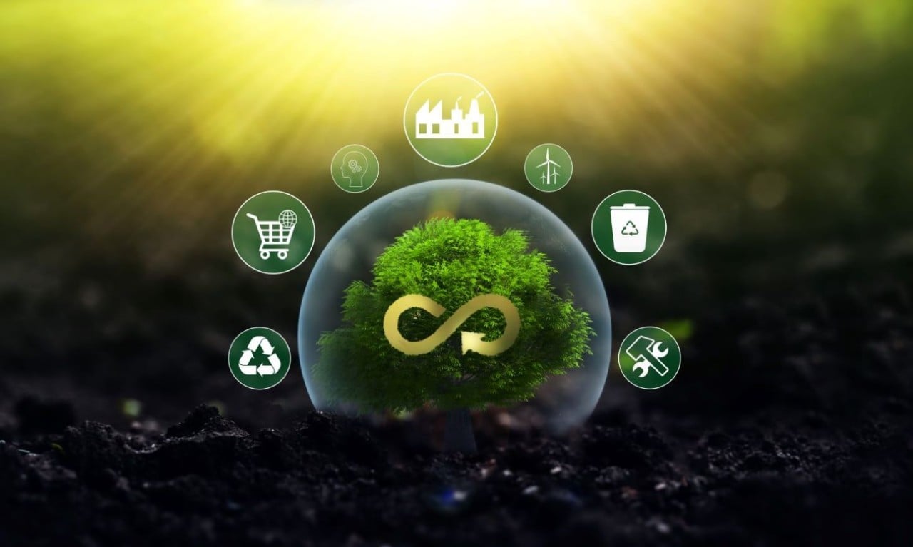 Sustainable supply chains